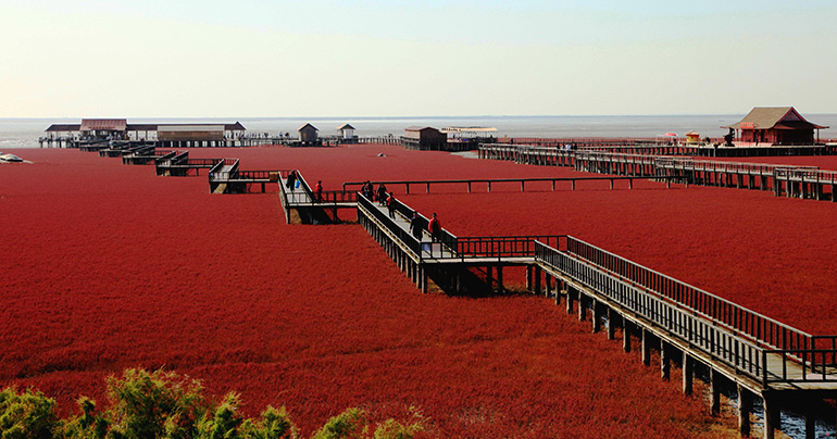 La playa roja de China
