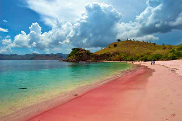 Pink Sand Beach en Bahamas