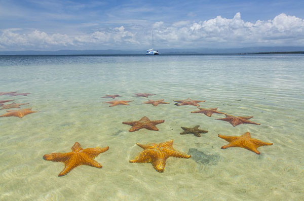 Playa de las estrellas – Panamá