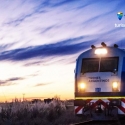 Trenes de Argentina