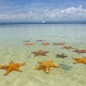 Playa de las estrellas – Panamá