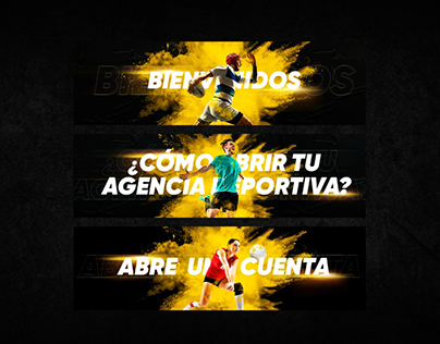 Conexión, carga y transacciones